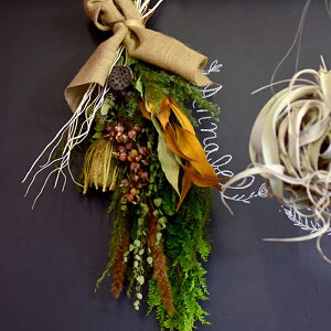 hCt[ u[P ԑ XbO  VFWW[EXbO i` CeA {^jJ IV JtF av[g Mtg LO j   Vz