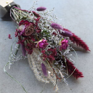 hCt[ ݑ u[P ԑ XbO  u[YOXvEGfBO i` CeA  a vw̓ NX}X ꂳ  j LO v