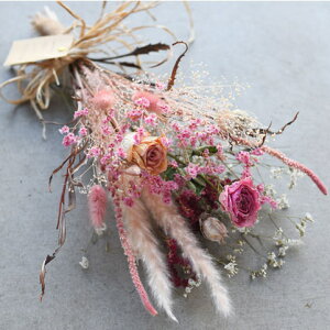 hCt[ ݑ u[P ԑ XbO  u[YOXvEGfBO i` CeA  a NX}X l Əj ꂳ  j LO v