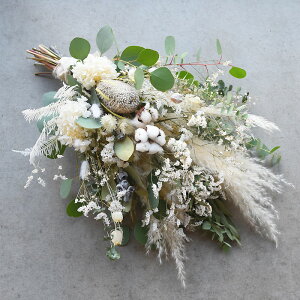 hCt[ u[P ԑ XbO utF~j[mvo EGfBO i` CeA IV  a }t   EGfBO  j LO j