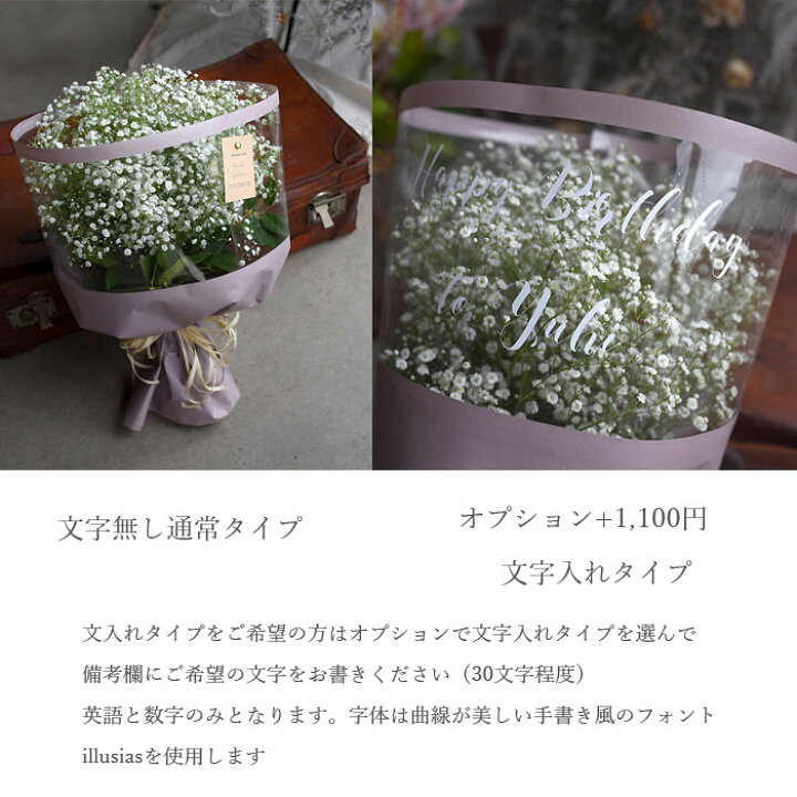 楽天市場 かすみ草 カスミソウ 花束 大きいサイズ 花 誕生日 結婚 ウエディング 送別 祝い プレゼント ギフト お礼 花束 生花 ドライフラワーにも 送料無料 フラワー 退職祝い クリスマス 成人式 成人 お祝い 記念日 迎春 プリティ マーメイド
