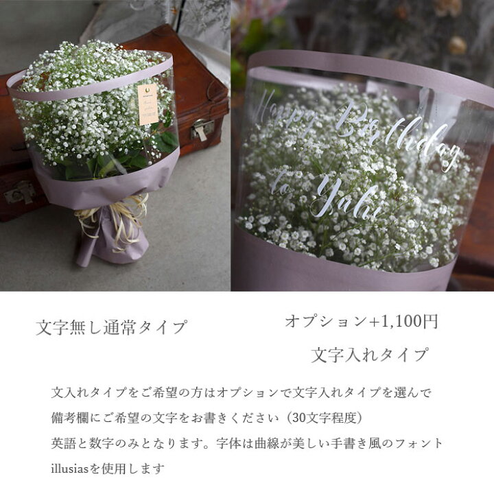 楽天市場 かすみ草 カスミソウ 花束 大きいサイズ ミックスかすみ草 レインボー ミックスカラー 花 誕生日 結婚 ウエディング 卒業 送別 祝い プレゼント ギフト 花束 生花 ドライフラワーにも 送料無料 フラワー 送別 プリティ マーメイド