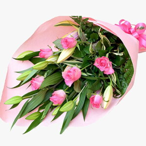  t[ Mtg a  EGfBO  j v[g Sƃỏԑ j   ސEj t[ N ސE Mtg j  ꂳ LO j 