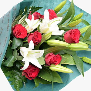  t[ Mtg a  EGfBO  j v[g Sƃỏԑ j   ސEj t[ N ސE Mtg j  ꂳ LO j 