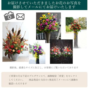 オーダーメイド「ドライボタニカルウォール」アレンジドラ—フラワー開店花開店祝い開業祝いオープン祝いお祝い贈り物ビジネス発表会劇場サロン美容室レストランライブコンサート発表会開店祝い【地域限定】成人式成人祝い
