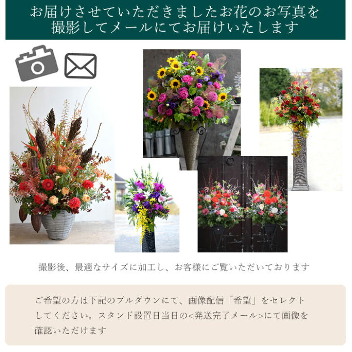 楽天市場 オーダーメイド スタンド花 開店花 開店祝い 開業祝い オープン祝い お祝い 贈り物 ビジネス 発表会 劇場 サロン 美容室レストラン ライブ コンサート発表会 開店祝い 地域限定 プリティ マーメイド