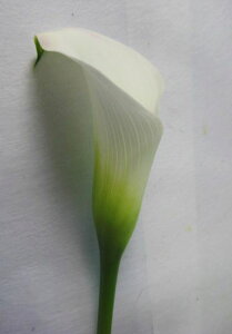 ؂ J[ zCgn 5{ ؉   ԍ