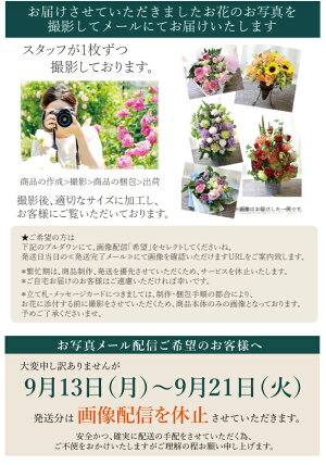 画像配信について