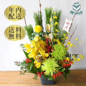 y }t 2025zVt AWg  VN  叼 x ߔNuĔnvE}  N   叼AW  N  ߓ A }t  t  