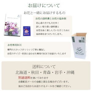 門松アレンジ同梱