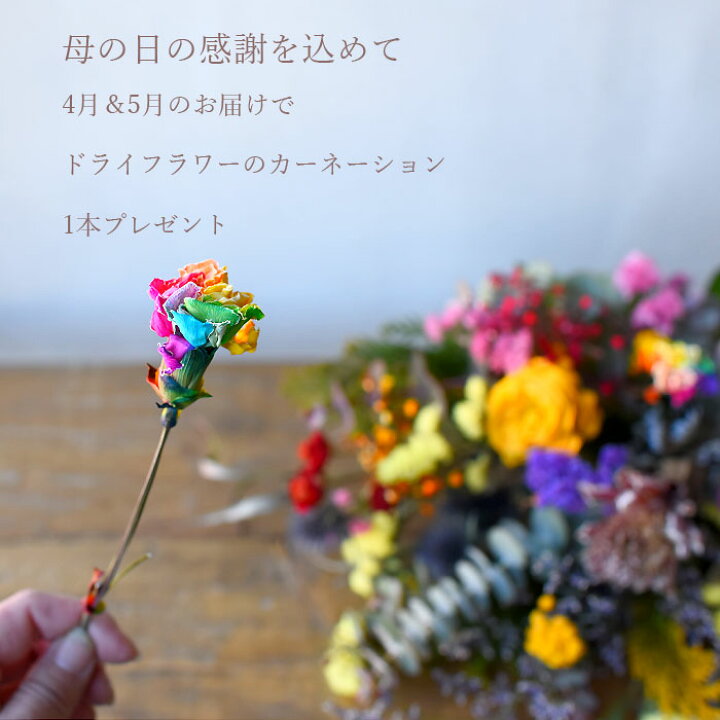 楽天市場 母の日ギフト 母の日プレゼント カーネーション ご予約受付中 ドライフラワー ブーケ 花束 スワッグ 送料無料 花 薔薇 Sns映え ナチュラル インテリア オシャレ お母さん 赤 ピンク ブルー イエロー カラフル Mix 誕生日プレゼント ギフト 結婚記念日 送別 楽天市場 母の日ギフト 母の日プレゼント カーネーション ご予約受付中 ドライフラワー ブーケ 花束 スワッグ 送料無料 花 薔薇 Sns映え ナチュラル インテリア オシャレ お母さん 赤 ピンク ブルー イエロー カラフル Mix 誕生日プレゼント ギフト 結婚記念日 送別