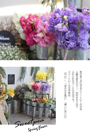 プレゼントギフトフラワー送別退職香りスイートピーの花束お好きな2色でラッピング付き送料無料
