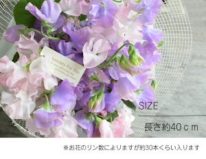 プレゼントギフトフラワー送別退職香りスイートピーの花束お好きな2色でラッピング付き送料無料