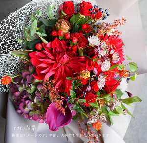  t[ Mtg a }t   EGfBO j v[g j   ސEj LO u[P Vyg Eh S[WXԑ  ꂳ LO 