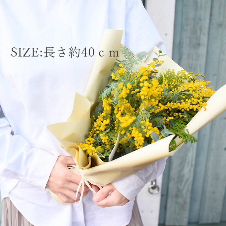 楽天市場】2/14〜3月下旬頃までのお届け限定！【 ミモザ 生花 花束 