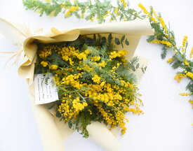 【 ミモザ 生花 花束 ブーケ スワッグ】生花からドライを楽しむミモザスワッグ『ミモザ・スワッグ』フレッシュな状態で発送。玄関 誕生日 卒業祝い お返し ドライフラワー リース スワッグ インテリア 春 実物など