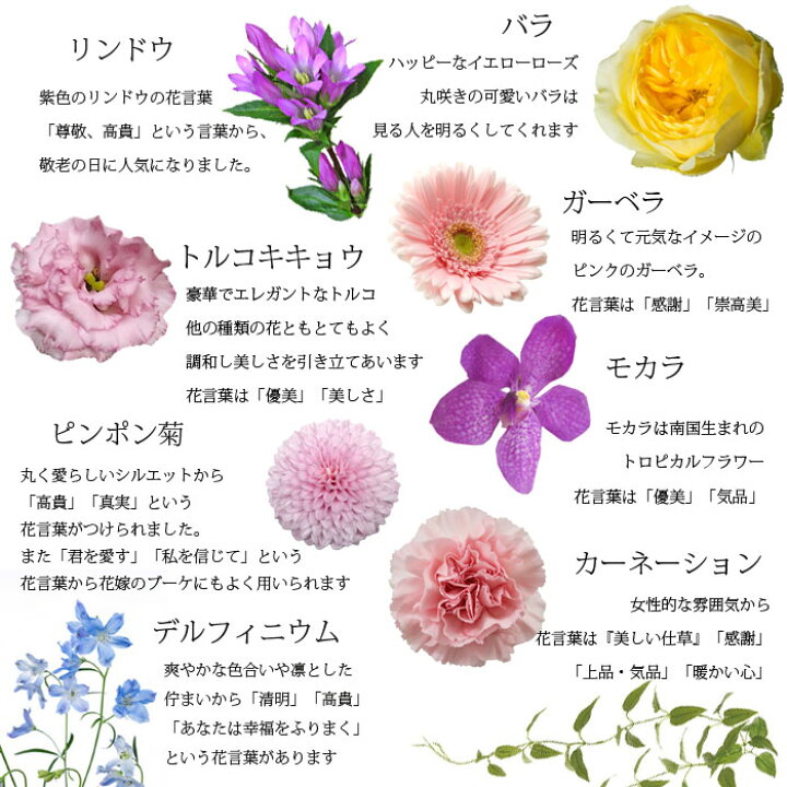 楽天市場 遅れてごめんね 敬老の日 送料無料 ギフト プレゼント当店イチオシ 香る百合とバラの気品あふれる華やかアレンジ りんどう アレンジ 花 ユリ 薔薇 ローズ スイーツ 同梱ok 紫 パープル ピンク 可愛い 上品 カラフル プリティ マーメイド