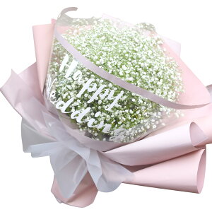 ݑ JX~\E ԑ(BIGTCY)  a  EGfBO  j v[g Mtg  ԑ  hCt[ɂ  t[ ސEj ꂳ LOj 