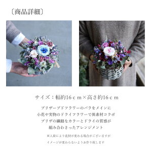 玄関花誕生日結婚祝いお礼歓送迎ドライフラワー「ポコアポコ」アレンジホワイトデー
