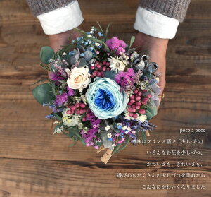 玄関花誕生日結婚祝いお礼歓送迎ドライフラワー「ポコアポコ」アレンジホワイトデー