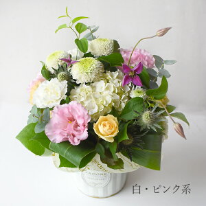   AW  ފ  uAiX^Vv m    @ l  @v   [  r Ԃ ~ ~ ~ V~ ފ D