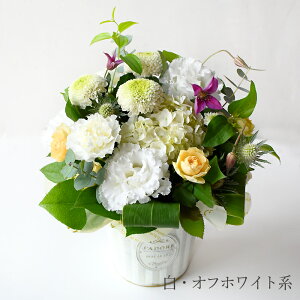   AW  ފ  uAiX^Vv m    @ l  @v   [  r Ԃ ~ ~ ~ V~ ފ D