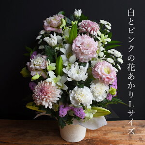    r Ԃ ~ ~ ~ V~ ފ݉ t[  AWg S uԂLTCYv   e    O @v 