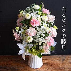    AW  @     @v i Durvނ  r Ԃ ~ ~ ~ V~ ފ AWg