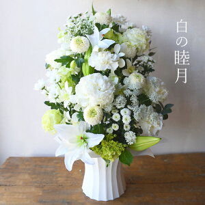    AW  @     @v i Durvނ  r Ԃ ~ ~ ~ V~ ފ AWg