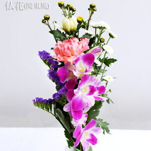  ؂ ~   ~  r Ԃ ~ ~ ~ V~ ފ݉ t[   ~  H  ~ ~ V~ ފ݉ t[ Q