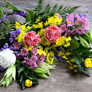     r Ԃ ~ ~ ~ V~ ފ݁uԗv {[ ؂₩ ΂̉ԑ Qt[  r Ԃ ~ ~ ~ V~ 