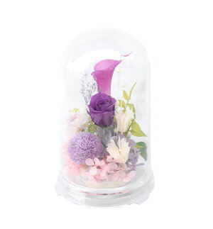 プリザーブドフラワーお供えお悔み初盆花仏花初盆-すみれ菫-花器付送料無料命日菊プリザ【あす楽対応】優しい上品