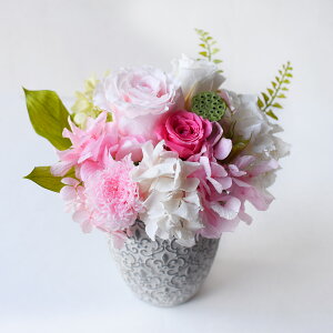  vU[uht[  ͂Ȃd̉  vU ᑐI   ~ ~ ~ V~ ފ H ފ݉ t[Mtg    vUh uU[h u