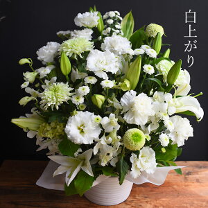    SƋG߂̂Ԃ̔AW ފ @  t[  AW    m  r Ԃ ~ ~ ~ V~ ފ 