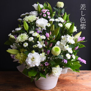    SƋG߂̂Ԃ̔AW ފ @  t[  AW    m  r Ԃ ~ ~ ~ V~ ފ 