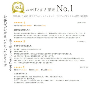 ランキング