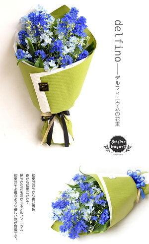 デルフィニウム花束花誕生日結婚祝いお礼歓送迎「delfino-デルフィーノ」ブルー青デルフィニウムの花束【送料無料】フラワー送別退職