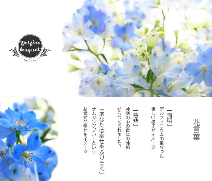 楽天市場 デルフィニウム 花束 花 誕生日 結婚 ウエディング ホワイトデー 卒業 祝い プレゼント 結婚祝い Delfino デルフィーノ ブルー 青 デルフィニウムの花束 送料無料 プリティ マーメイド