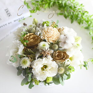 t[P[L AW TvCY  a vw̓ NX}X }t  uKg[V}gvv[g t[P[L AW  P[LBOX  t