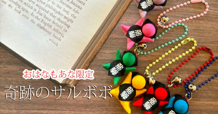 奇跡のサルボボ