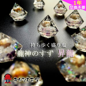 _̂R s͂ȂȌt艖bb1 bp[X|bg @ӕ  1N sv N  v[g   gC   zj Vzj JXj J