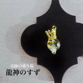 龍神のすず® 《おはなもあな限定》盛り塩｜宝船　七福神 チャーム 1個 持ち歩ける 1年 交換不要 ヒマラヤ水晶 竜 辰 干支 パワースポット 虹 おしゃれ 厄年 厄除け プレゼント レディース メンズ 玄関 トイレ 誕生日