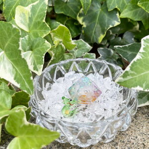 z Zbg _̂R s͂ȂȌt艖b F     z  Zbg F p[X|bg   1N sv N  v[