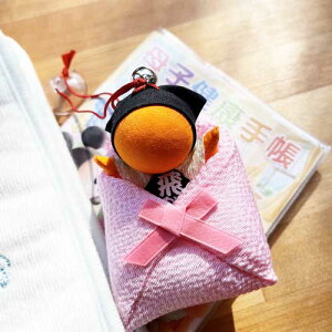 yEFς݁EXzT{{  ڂ q Y D ݂ڂ  2Zbg DP ̓ Xgbv L[z_[ v[g w oY