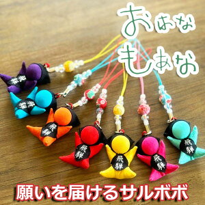 yEFς݁EXzT{{  ڂ ͂Ȃ 2 Zbg ˍR Xgbv L[z_[ a v[g fB[X Y {[CY K[X