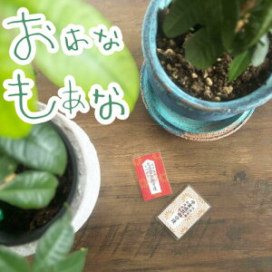 ��ʈ��S ���i�F�� ����� �w�Ɛ��A �Z�b�g �J�[�h�^�C�v �� �V���v�� �j�q ���q ���w�� ���Z�� ��w�� �Z���^�[ ���� �e�X�g �׋� �͎� �󌱐� ���F�� ��� �J�o�� ������