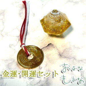 ^ J^ Zbg _̂R s͂ȂȌt艖b 1 5~ Zbg  1N sv N 퐷n v[g  Mtg  gC  p[Xg[ 