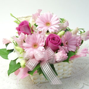  Mtg hV̓ a v[g  AW t[Mtg j jd d a G߂̉ jd  ʂݓd oYj LO LO  W \ 