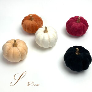 nEB pvL STCY J{` ÑCeA v[g v`Mtg ڂ p[eB[ Halloween q Fl FB v`v   