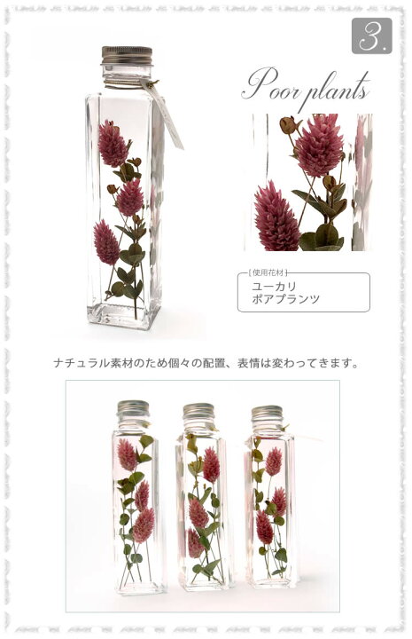 楽天市場】ハーバリウム ナチュラル Herbarium ［植物標本］ボトル 